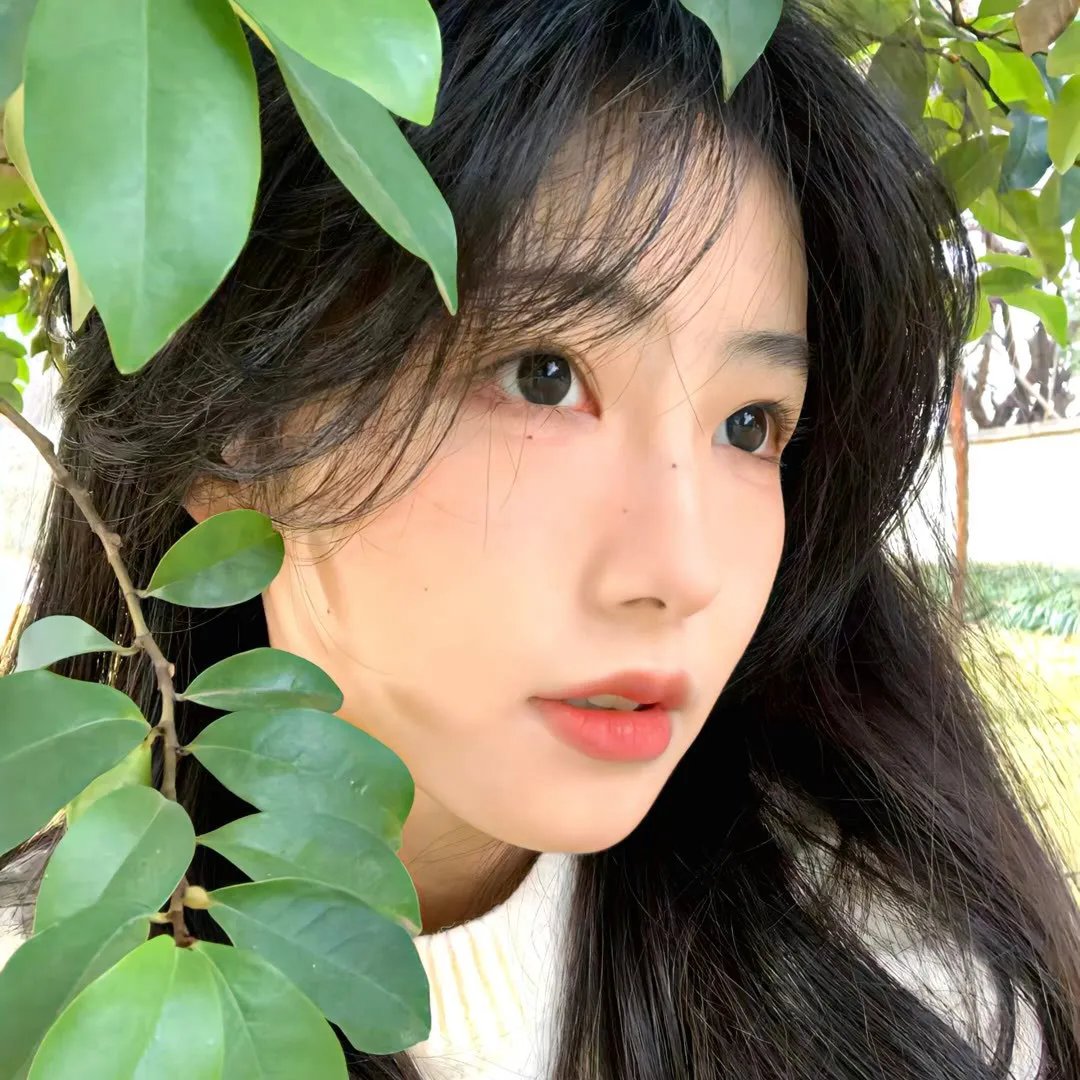 安东妮雅之家